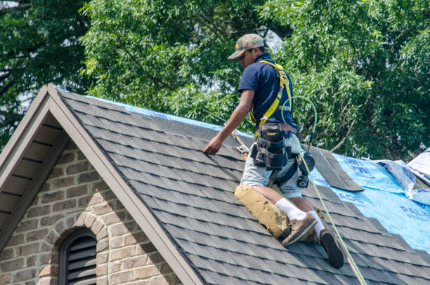 Best Emergency Roof Repair  in Avoca, PA